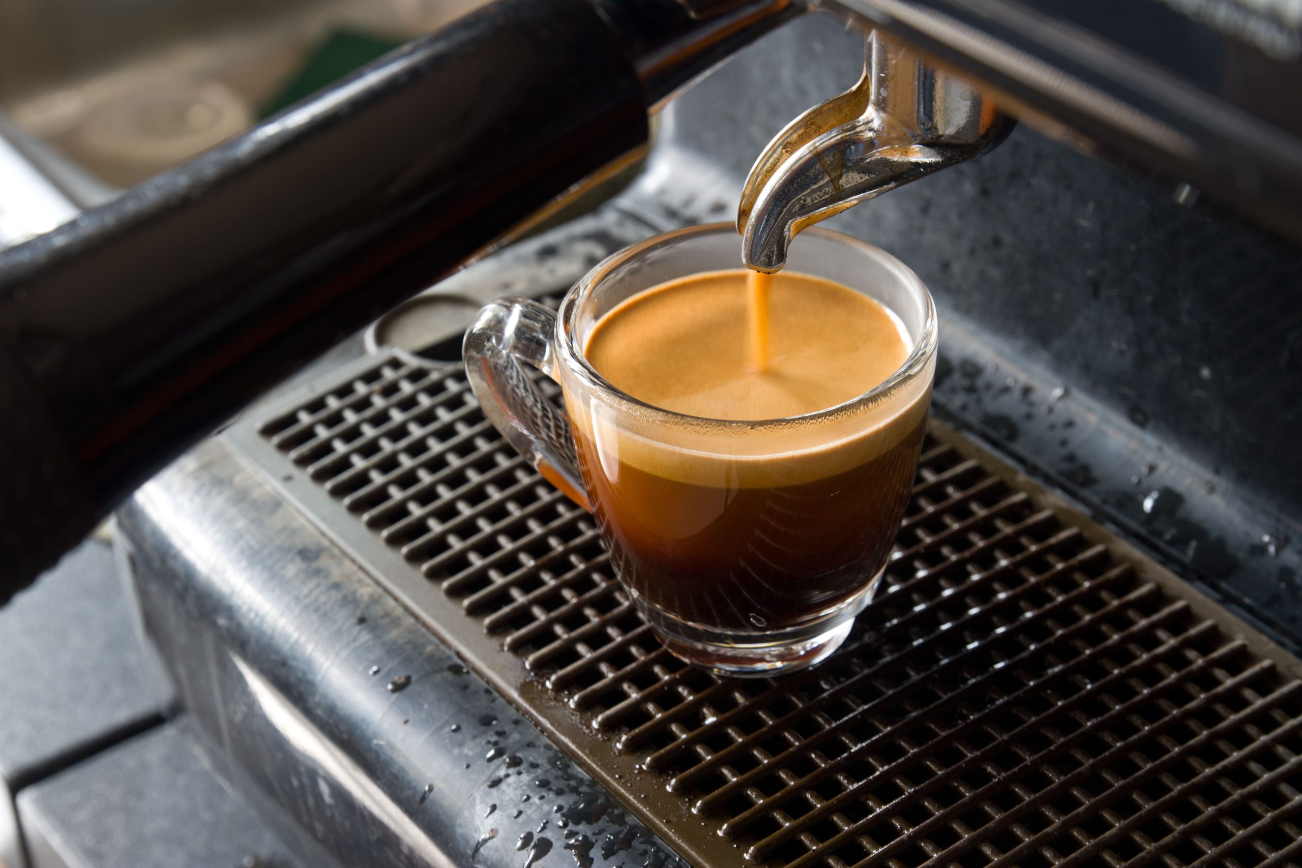 cafe